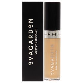 Light Up Concealer - 341 Beige