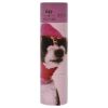 Cream Lipstick - 12 Boss Lady by Defy and Inspire for Women - 0.134 oz Lipstick